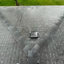 Roof Cleaning Pressure Washing 1